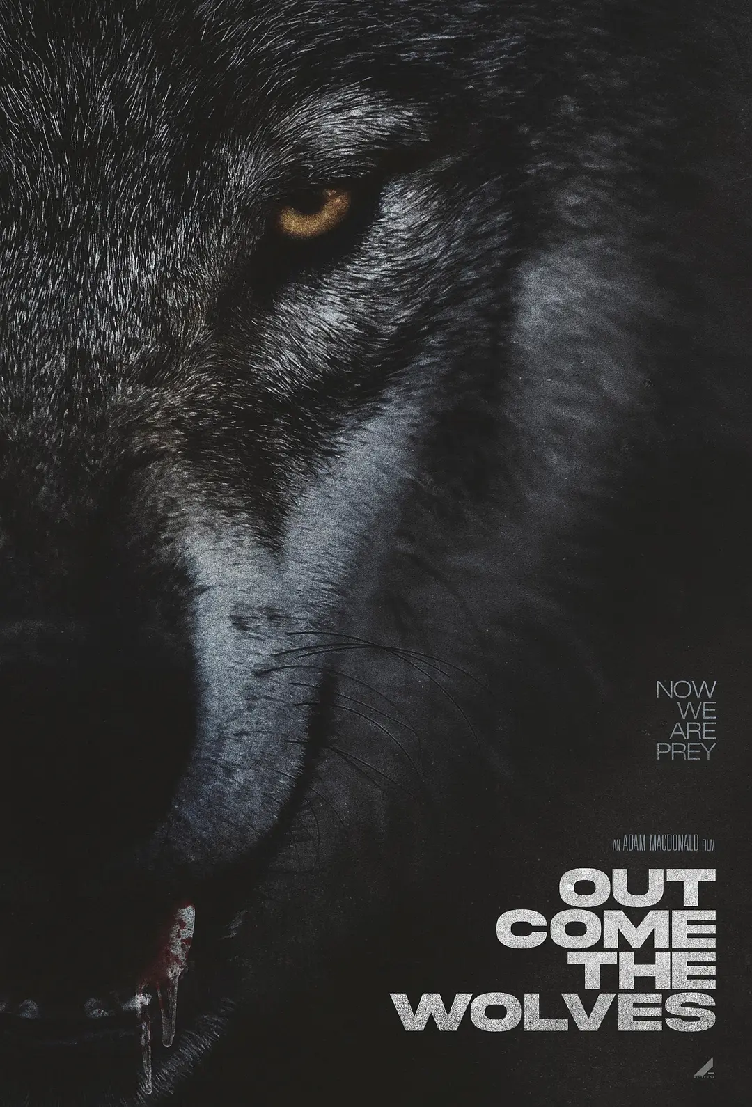 Wolves are out